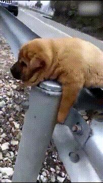 把中间的门店租下来取什么名字好,租下门面不知道取什么名字