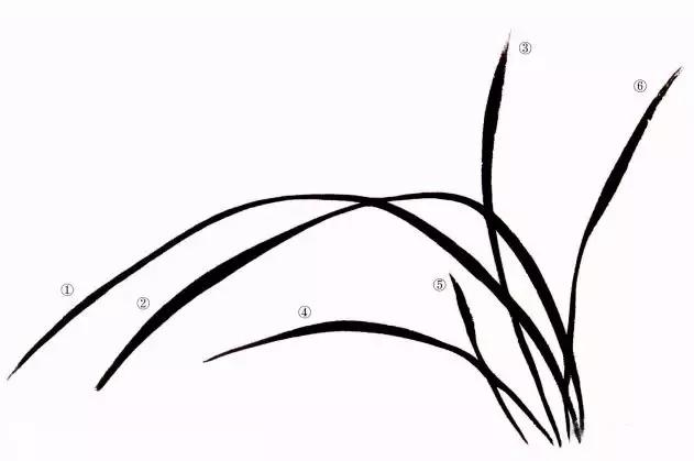 兰花绘画技法教程视频,泰国兰花绘画技法