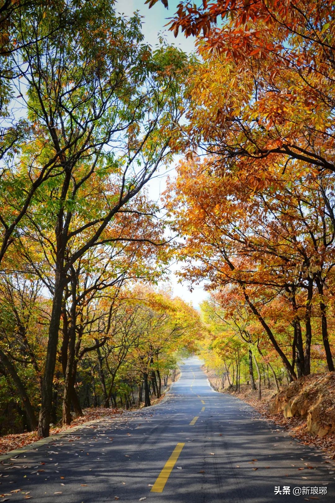 罗湖区最适合爬的山,绝美的风景在山顶