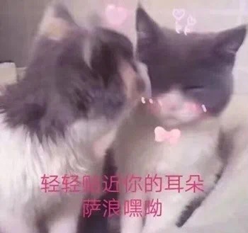 空姐带货主播,空姐导游带货直播