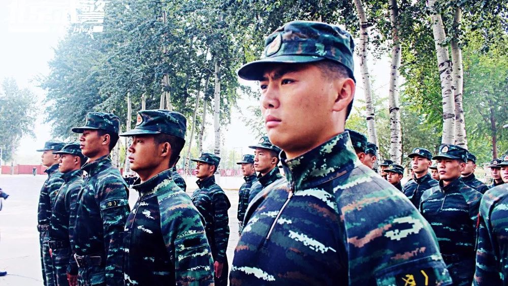 武警特战预备员,预备特战队员标准