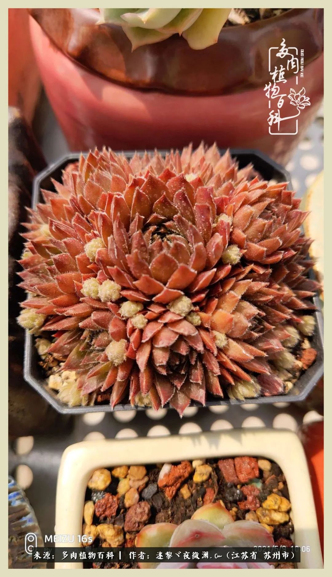 秋尽冬来岁月不居时节如流,岁月不居时节如流水