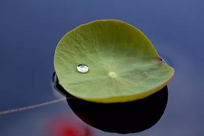 破解数学千年难题,破解百年数学之谜