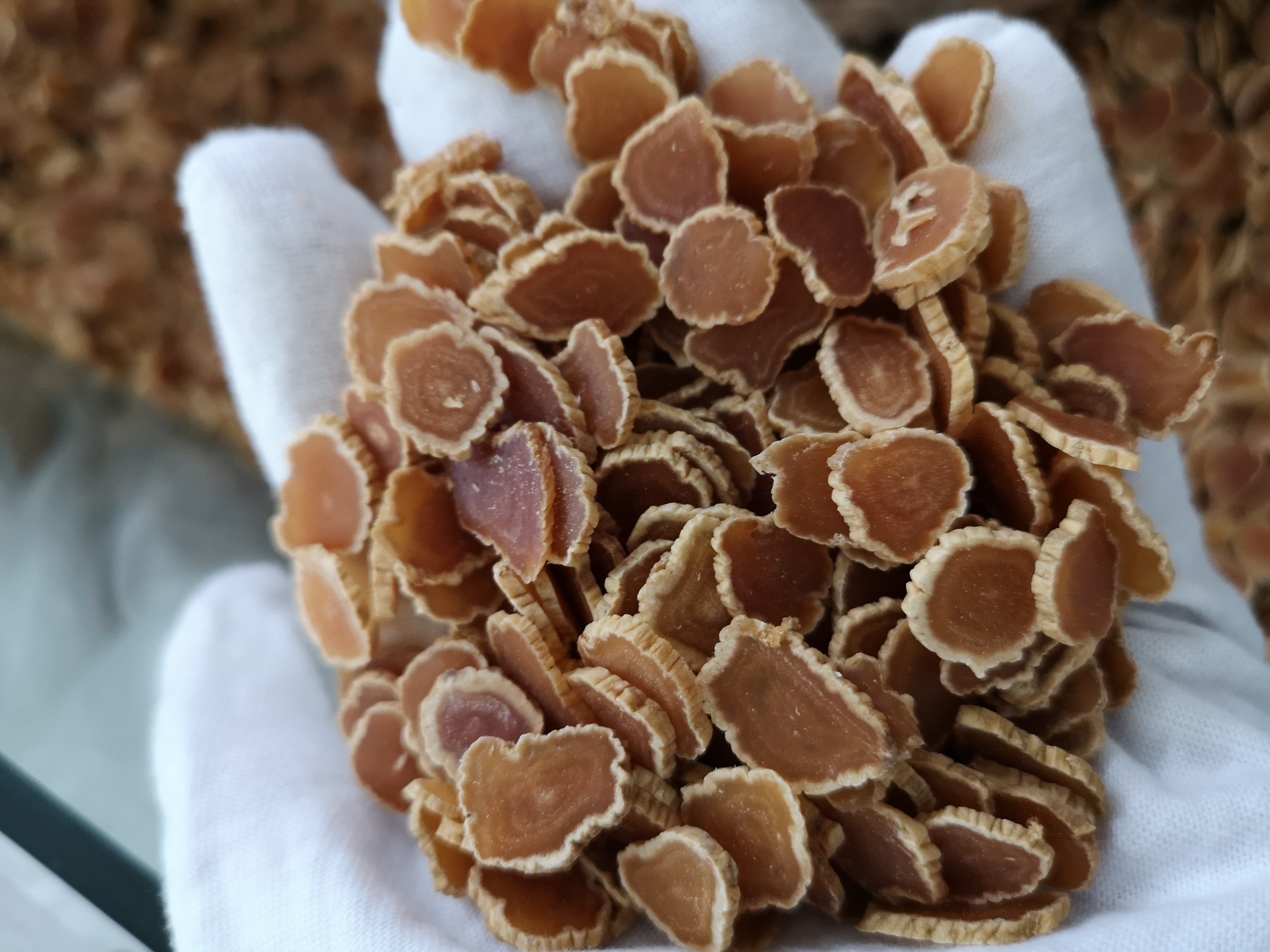 鲜参的加工详细方法,鲜参的种类大全