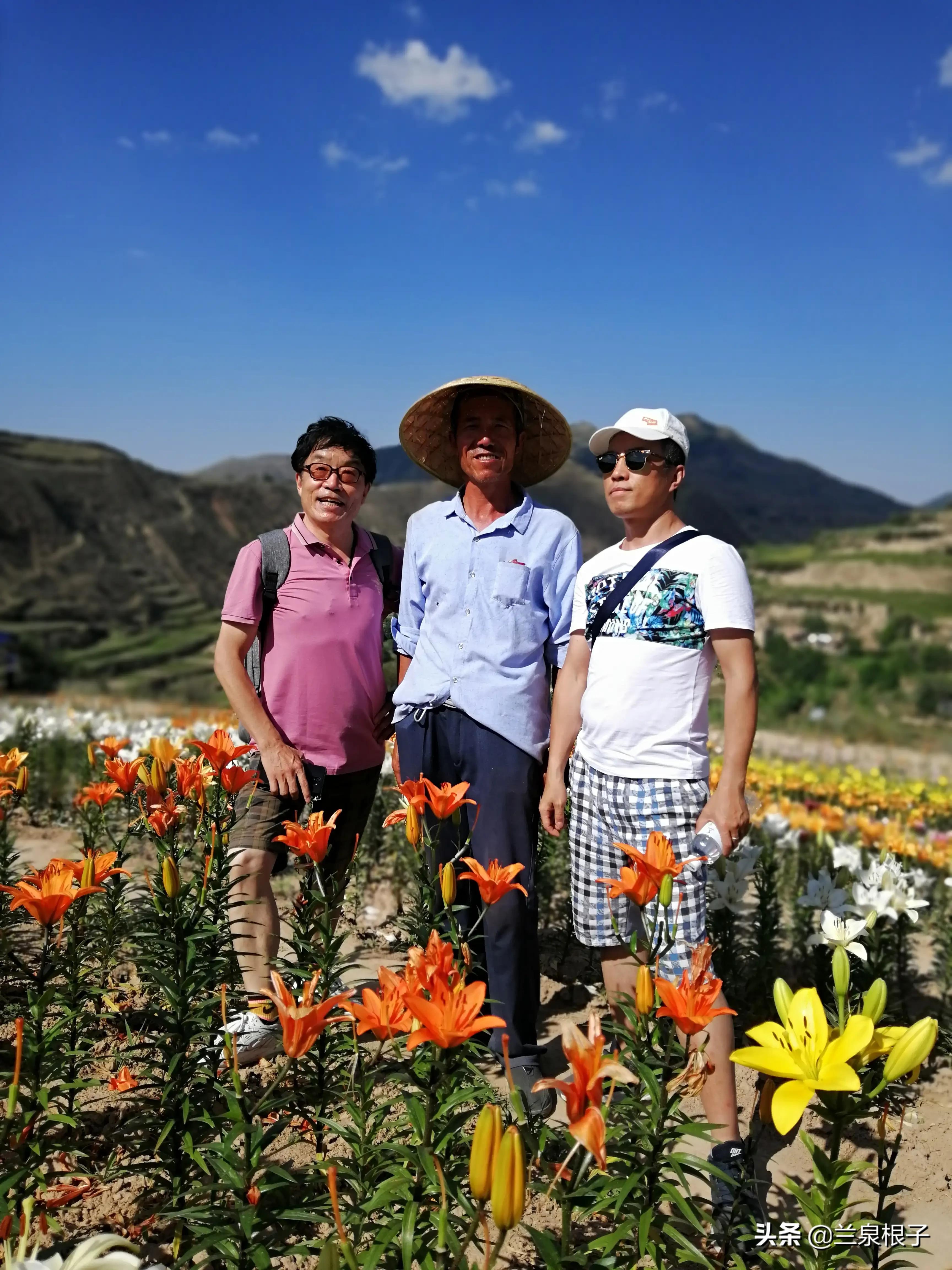 知青回忆那些年那些人那些事,那些年那些事大型知青电视连续剧