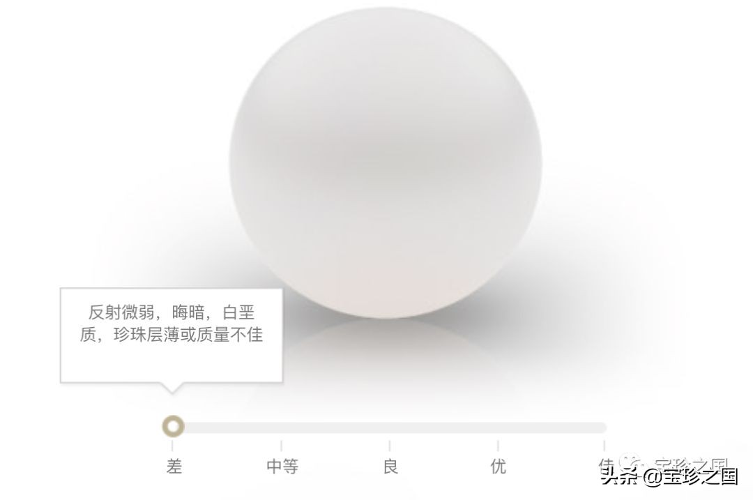 智识珍珠07|南洋白珠：珍珠界的“禁欲系”代表