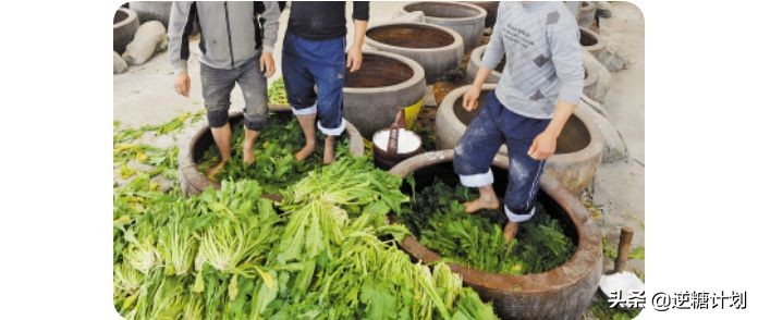 酵素辟谣焦点访谈,焦点访谈神奇的酵素你还信吗