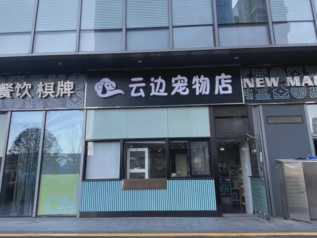 开宠物店都有哪些好的经验,年轻人开宠物店是一个好选择吗
