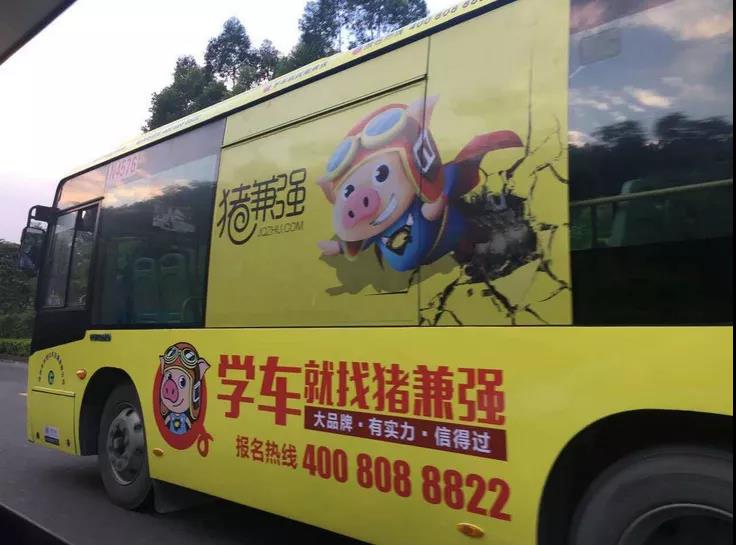 网红驾校猪兼强,网红驾校猪兼强被裁定破产