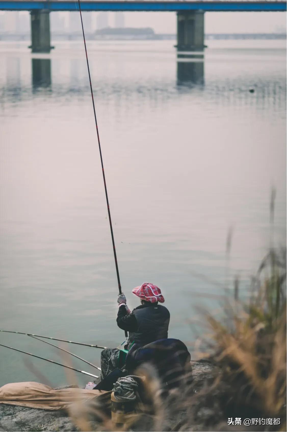 钓竿入门选什么牌子,如何选择钓竿品牌