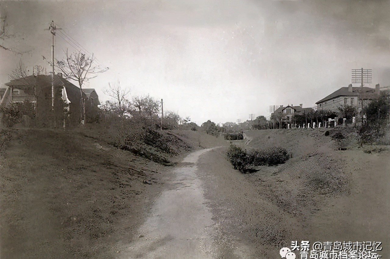 青岛的几个海洋公园哪个好,青岛世博园八大园都是什么园