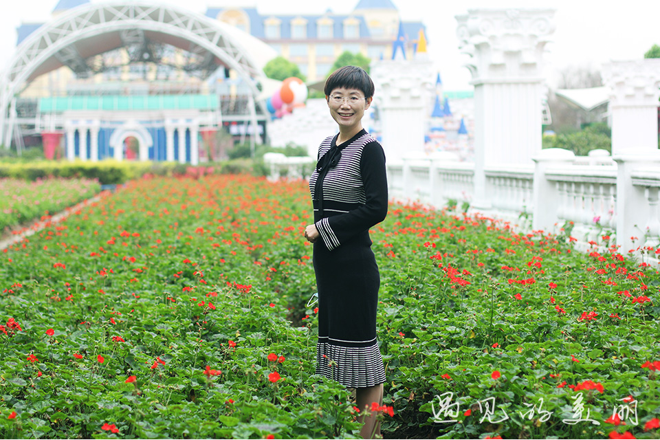 百万葵园有多坑,百万葵园免门票