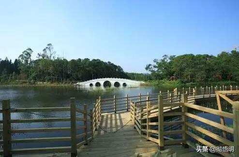 江阳区好玩的地方景点,泸州江阳区好玩景点排名