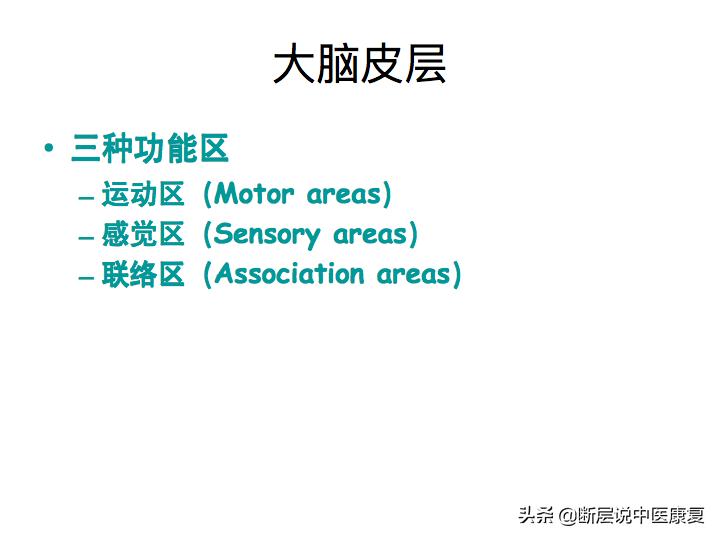 中枢神经系统断层解剖讲解,中枢神经3d解剖动画