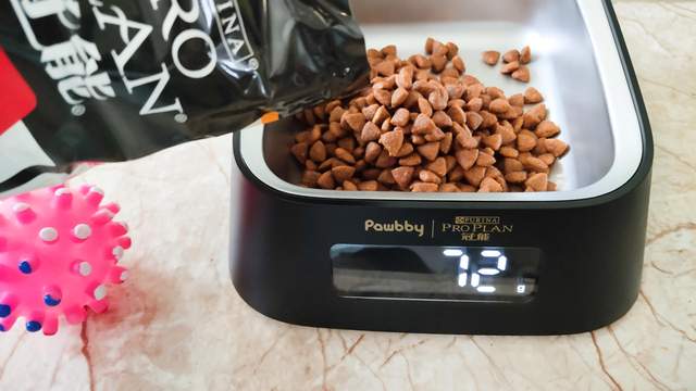 心中有数吃多少，避免主子吃撑大胖子，Pawbby智能宠物碗体验