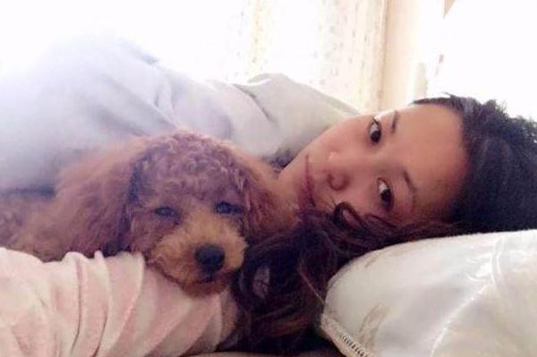 泰迪犬被误会的几个动作,泰迪犬不同的行为代表着什么意思