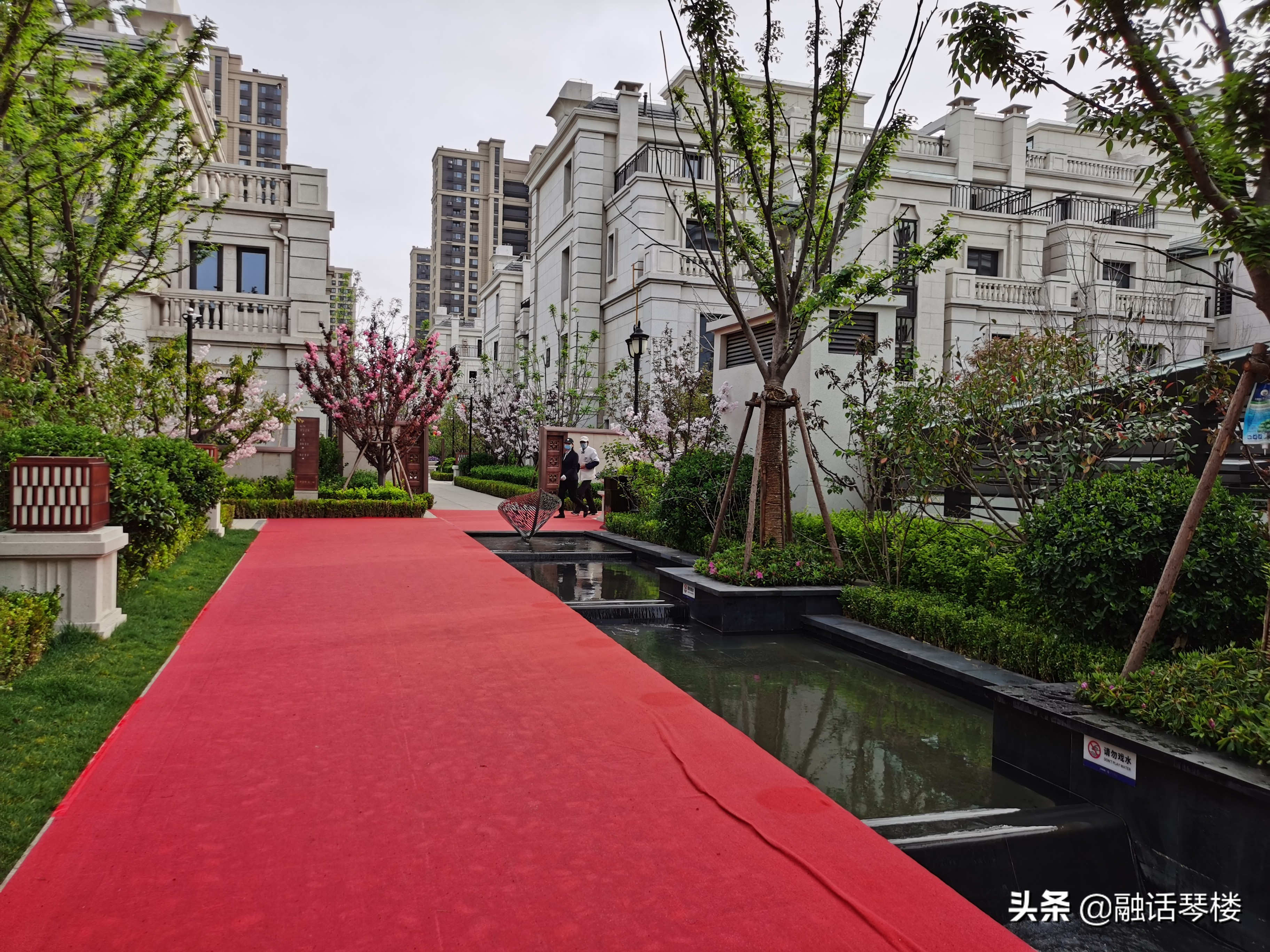 青岛西海岸开发区别墅,西海岸别墅青岛院子