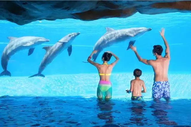 珠海长隆和广州长隆旅游攻略区别,珠海长隆旅游策略