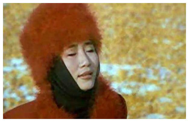 李娜退出歌坛的原因,唱青藏高原的李娜现在干什么