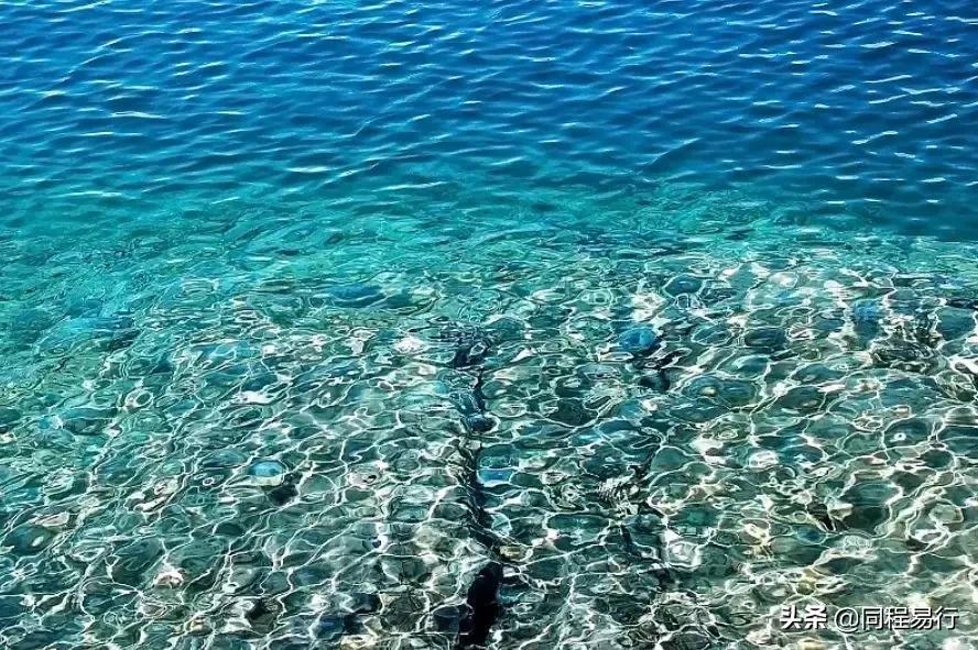 2019持美国签证旅游免签国家,美国签证去巴西免签吗