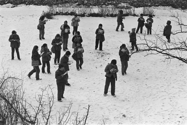 希望工程30周年纪录片,希望工程25周年视频