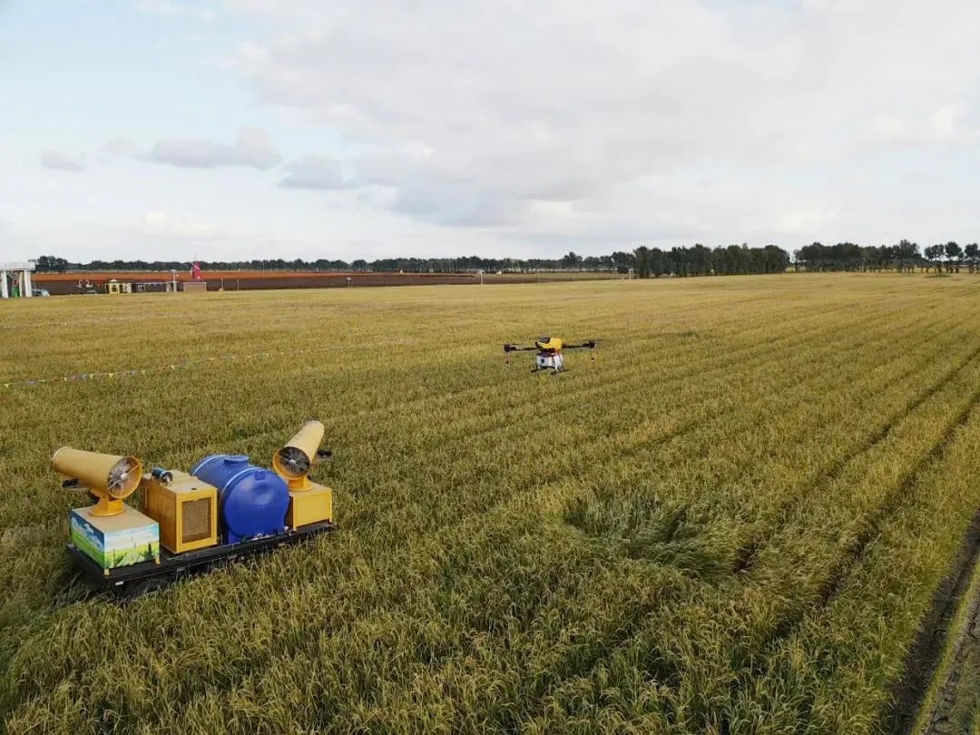 “一南一北”！南京两个“国家级”这么干