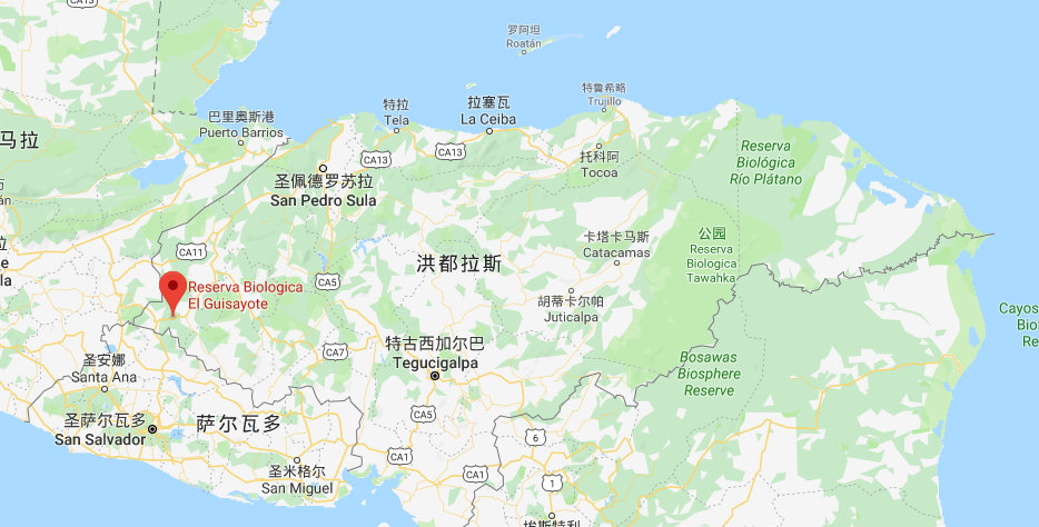 洪都拉斯咖啡豆的产区,咖啡豆洪都拉斯