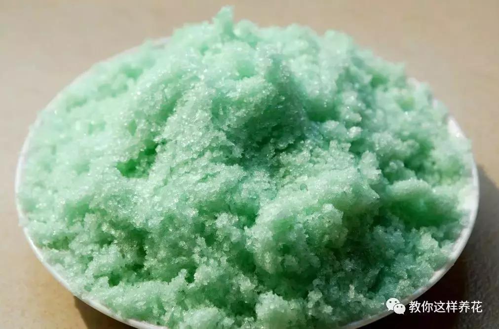 花儿叶子发黄是怎么回事,花儿叶子发黄枯萎萎蔫