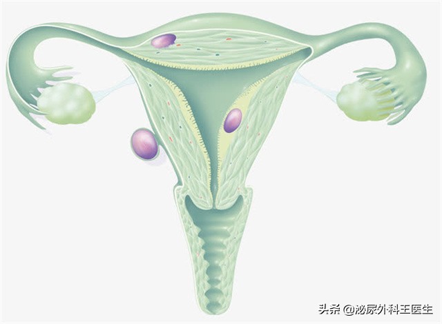 60岁以上还能进行夫妻生活吗？了解3个要点，适当保持有益身心