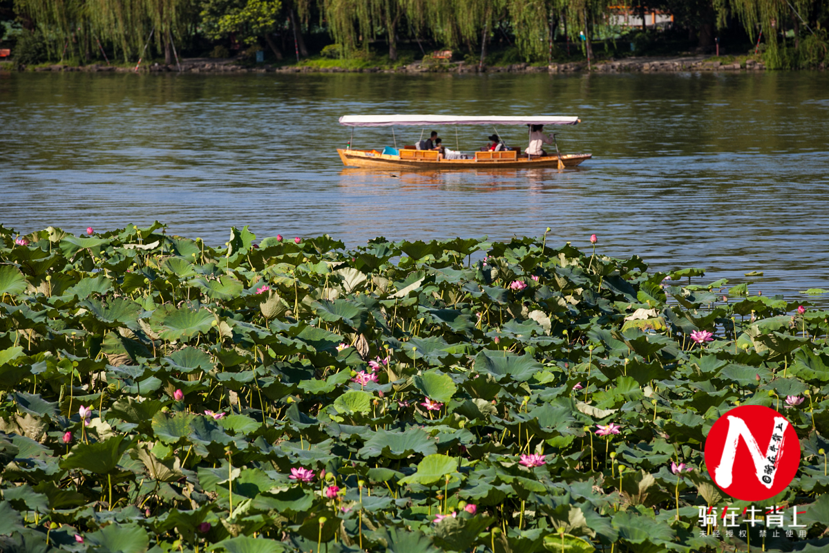 浙江的9个西湖都在哪里,浙江和江苏哪个是江南