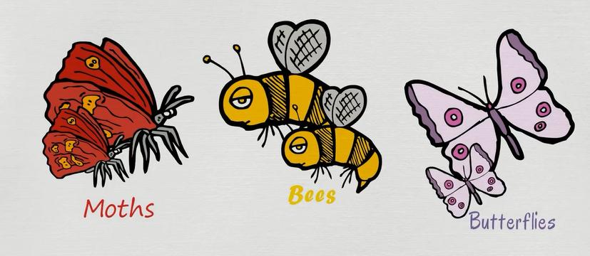 动物英语名称视频大全,兔小贝英语宝典动物名称