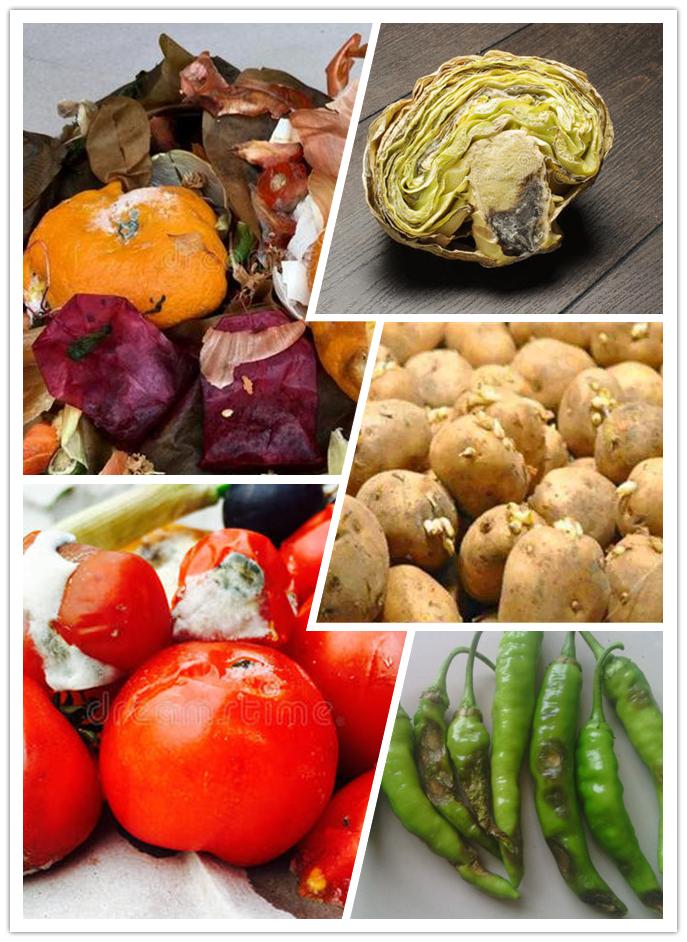 真空封装食物保鲜时间,食物冷冻保鲜还是真空保鲜效果好