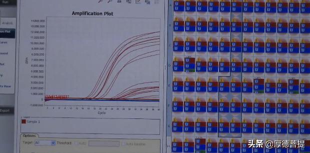我们买到的鳕鱼是什么鳕鱼,我们买的鳕鱼为什么没头