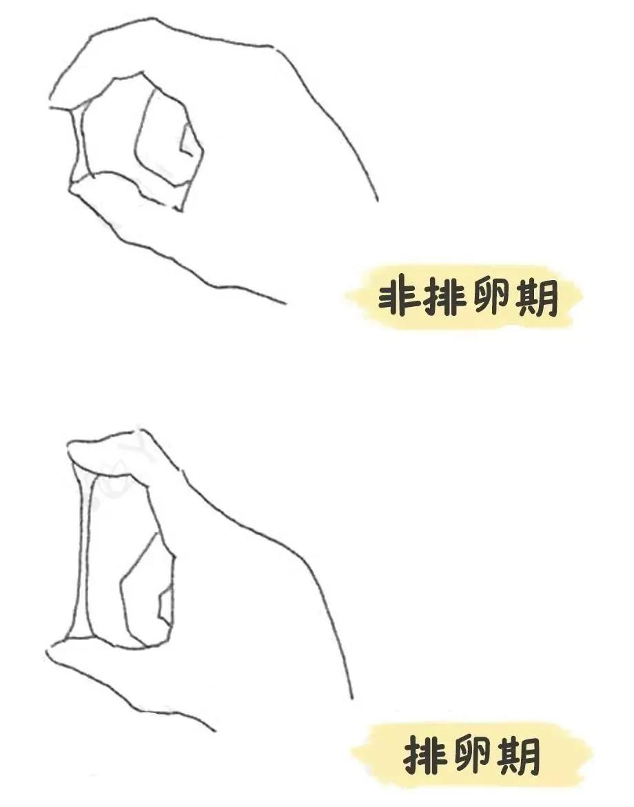 排卵监测能测出卵子质量好不好吗,大蒜对卵子质量好不好