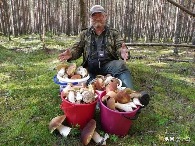 为啥俄罗斯大汉总是背着老婆钻树林？