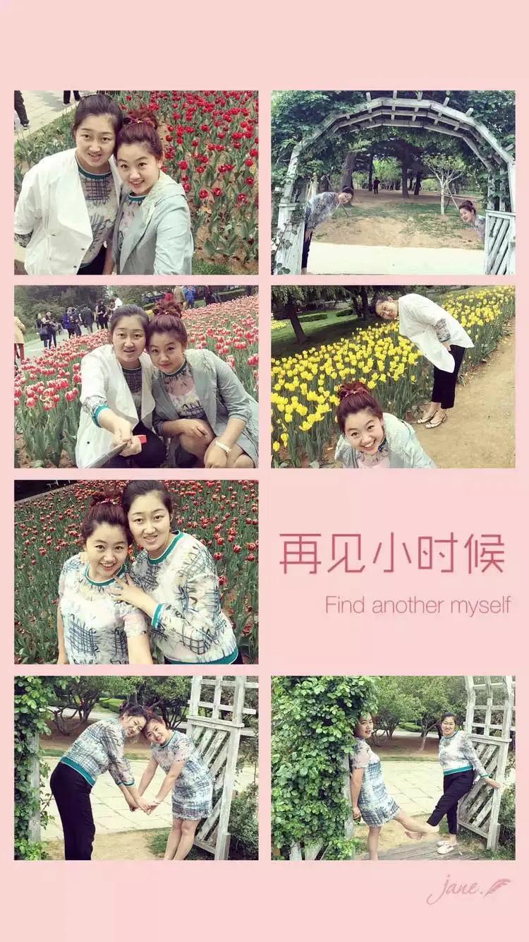 郁金香又叫什么名字,不同颜色郁金香的名字