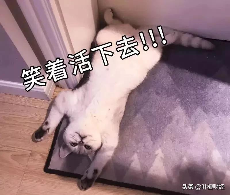 st华仪为什么披星戴帽,主动戴帽