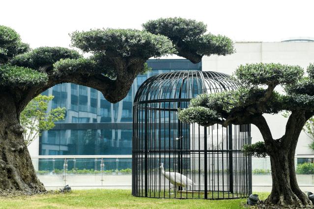 十一去哪玩?上海周边这15家度假酒店安排上