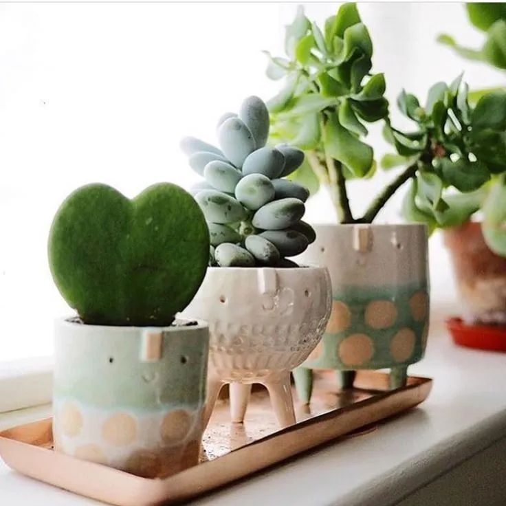 紫砂花盆为啥比红陶花盆还便宜啊,塑料盆什么材质好无毒