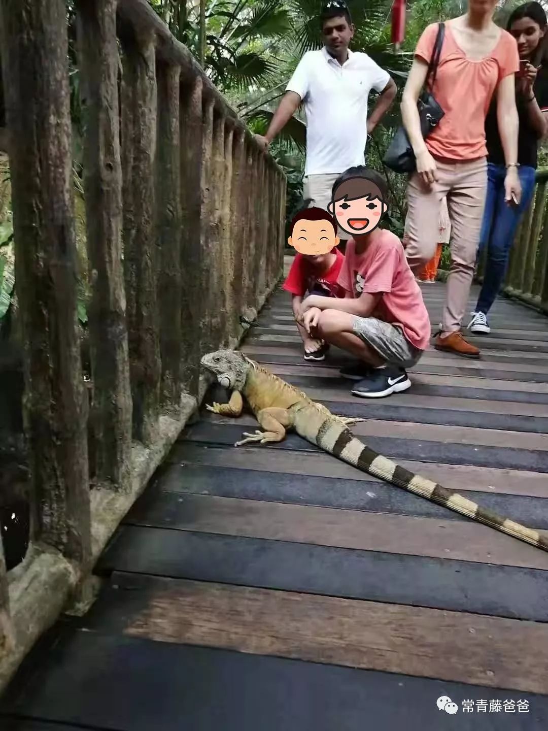 十一新加坡,新加坡5天4晚亲子游推荐哪家