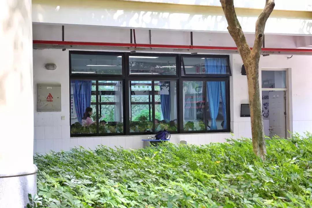 很多人挤破脑袋都想进的学校,万千学子挤破脑袋都要进大学