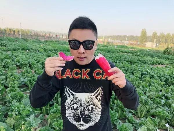 自己种菜省钱方便,自己种菜又方便又放心