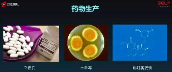 塑料大概多少年才能在自然界降解,塑料究竟可以降解吗