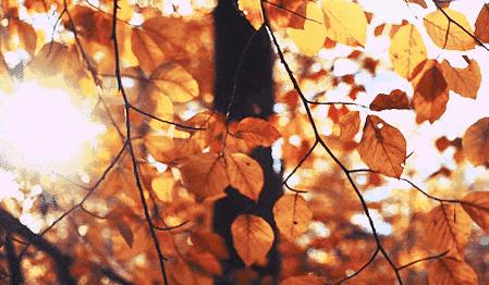 昌平区适合一日游玩踏青的地方,4月中旬昌平区最值得去的景点