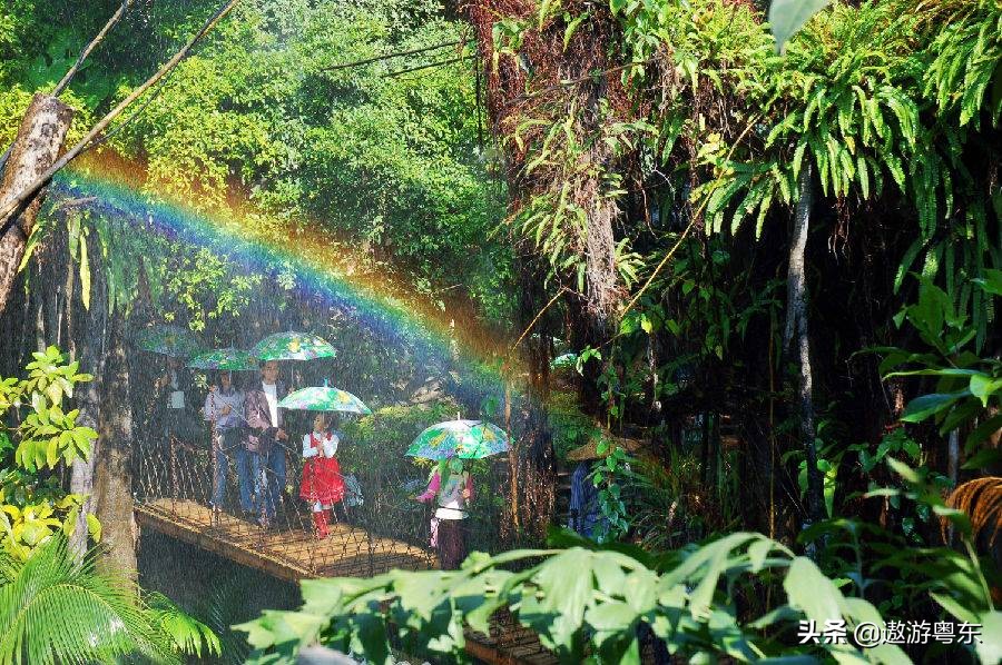 深圳南山区青青世界视频,青青世界深圳热带雨林