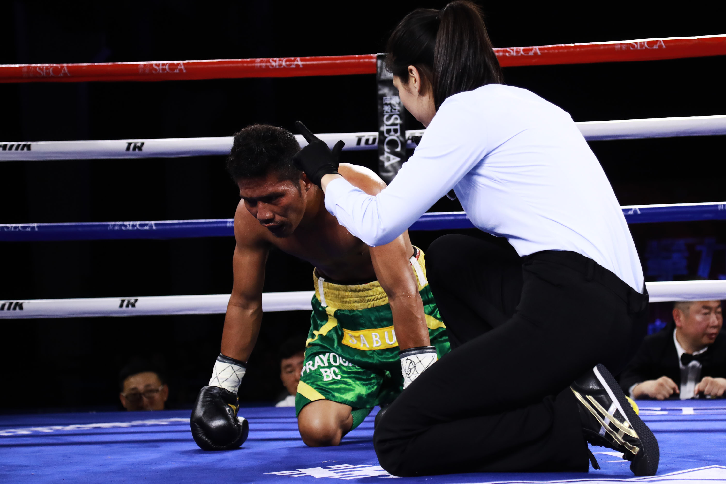 中国台北小将,中国台北小将最新视频