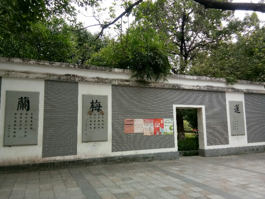 深圳宝安区灵芝公园航拍,宝安灵芝公园