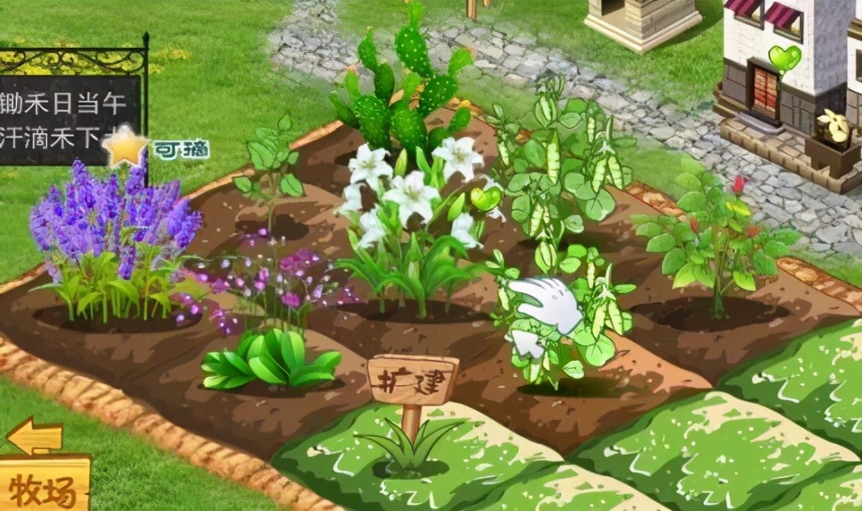 沈佳宜我很喜欢你完整版,初恋沈佳宜完整版