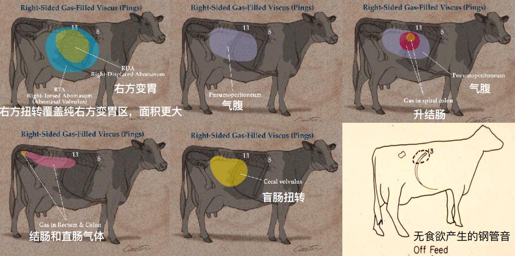 韩铁柱:新产牛疾病防治
