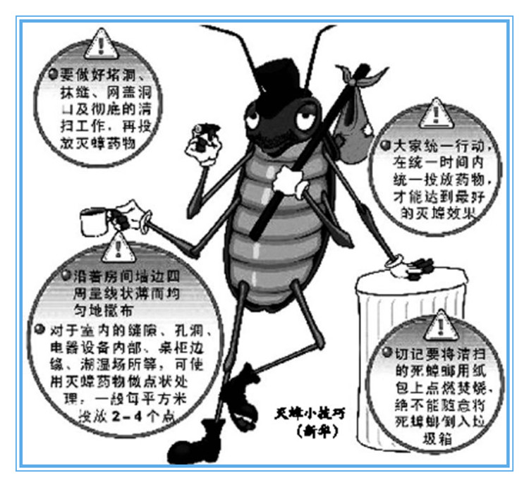 怎么除蟑螂最有效最彻底土方法,消灭蟑螂最高效最彻底的方法对比